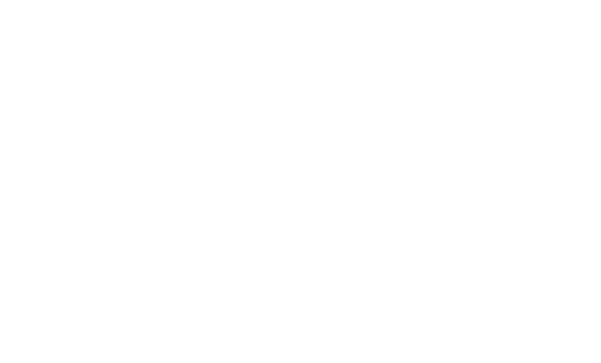 PP_P4_Logo_White